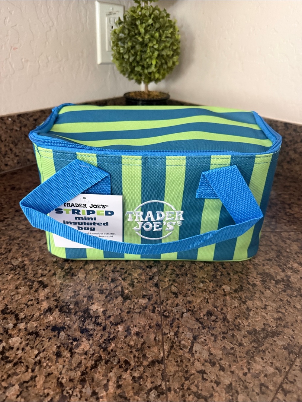 Trader Joe's Blue & Green Striped Insulated Lunch Bag